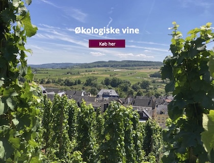 Økologiske vine